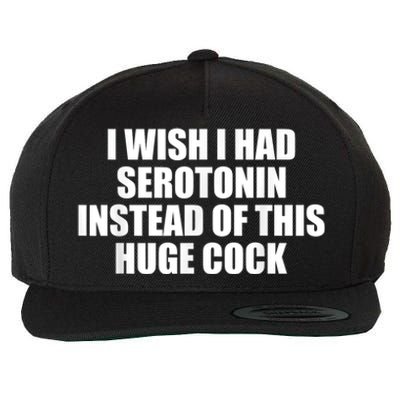 I Wish I Had Serotonin Instead Of This Huge Cock Funny Adult Humor Gift Wool Snapback Cap