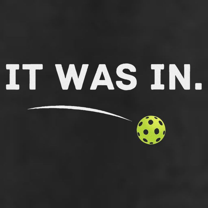 It Was In Pickleball Player  12oz Stainless Steel Coffee Mug