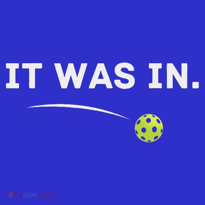 It Was In Pickleball Player  Sustainable Knit Beanie
