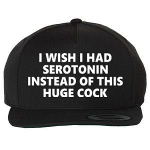 I Wish I Had Serotonin Instead Of This Huge Cock Funny Adult Humor Wool Snapback Cap