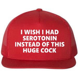 I Wish I Had Serotonin Instead Of This Huge Cock Funny Adult Humor Flat Bill Trucker Hat