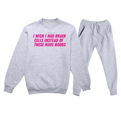 I Wish I Had Brain Cells Instead Of These Huge Boobs Premium Crewneck Sweatsuit Set