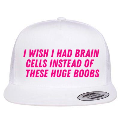 I Wish I Had Brain Cells Instead Of These Huge Boobs Flat Bill Trucker Hat