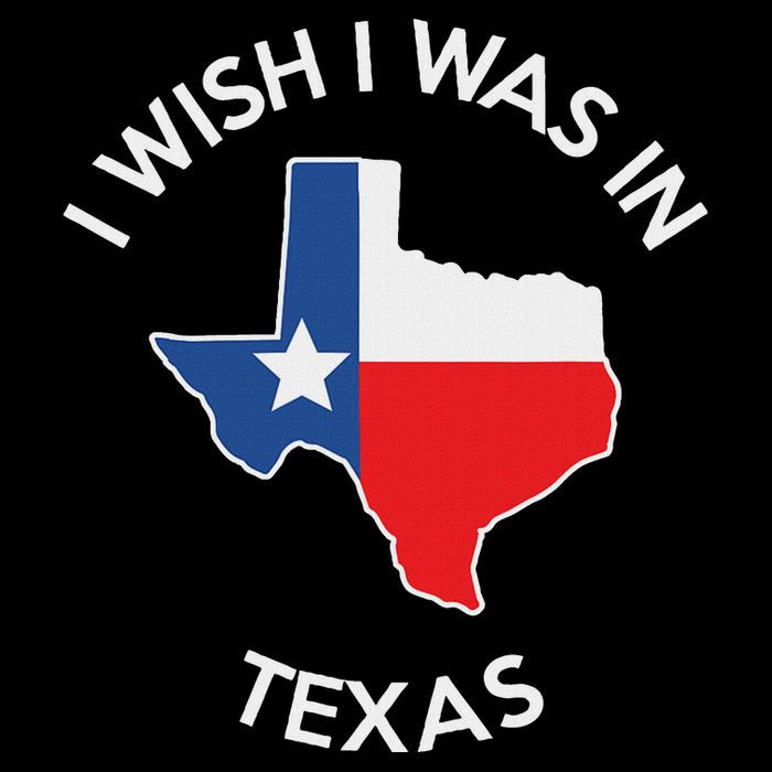 I Wish I Was In Texas Funny Texas Long Sleeve Shirt