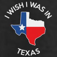I Wish I Was In Texas Funny Texas 15oz Campfire Ceramic Mug