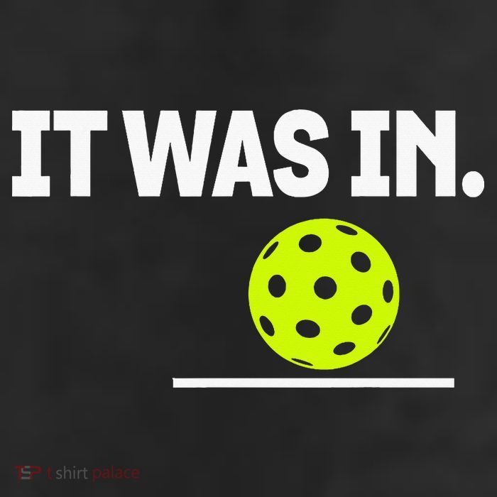 It Was In Funny Pickleball Player Paddleball Lover Beanie