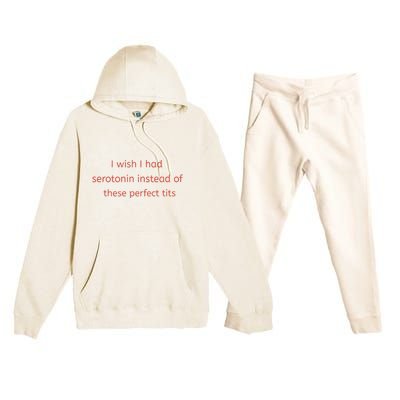 I Wish I Had Serotonin Instead Of These Perfect Tits Premium Hooded Sweatsuit Set