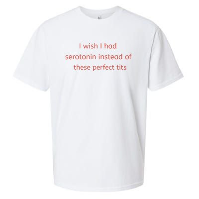 I Wish I Had Serotonin Instead Of These Perfect Tits Sueded Cloud Jersey T-Shirt