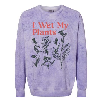 I Wet My Plants Colorblast Crewneck Sweatshirt