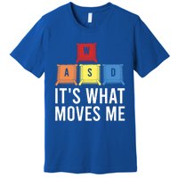 Its What Moves Me Game Wasd Keycaps Keyboards Gaming Outfit Meaningful Gift Premium T-Shirt