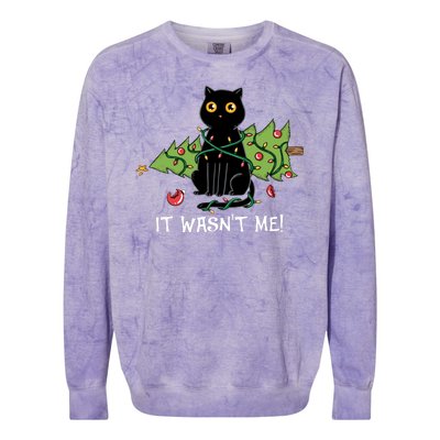 It Wasnt Me Christmas Tree Funny Cat Colorblast Crewneck Sweatshirt