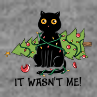 It Wasnt Me Christmas Tree Funny Cat Kids T-Shirt