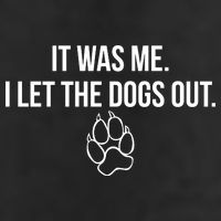 It Was Me I Let The Dogs Out Funny Adult Drive Performance Visor