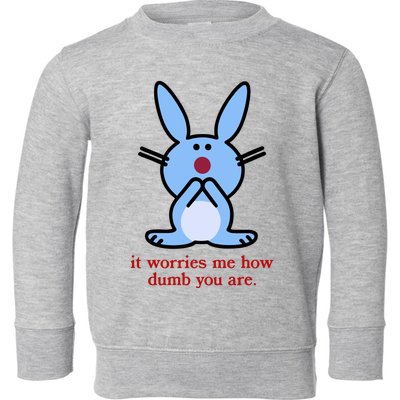 It Worries Me How Dumb You Are Toddler Sweatshirt