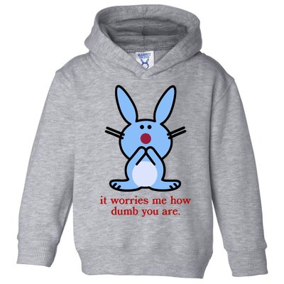 It Worries Me How Dumb You Are Toddler Hoodie