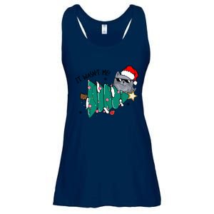 It Wasn't Me Funny Cat Family Christmas Party Gift Ladies Essential Flowy Tank