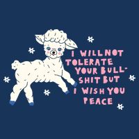 I Will Not Tolerate Your Bull Shit But I Wish You Peace Infant Baby Jersey Bodysuit