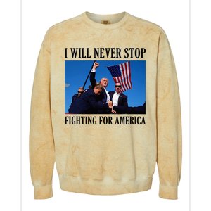 I Will Never Stop Fighting For America Colorblast Crewneck Sweatshirt