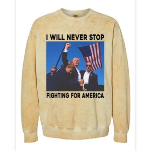 I Will Never Stop Fighting For America Colorblast Crewneck Sweatshirt