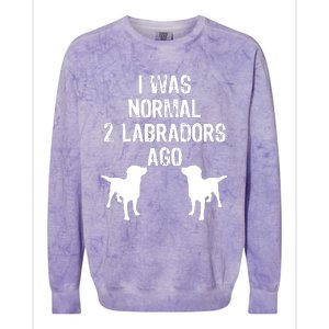 I Was Normal 2 Labradors Ago Funny Retriever T Colorblast Crewneck Sweatshirt