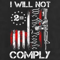 I Will Not Comply 2nd Amendment Gun Owner Adult Drive Performance Visor