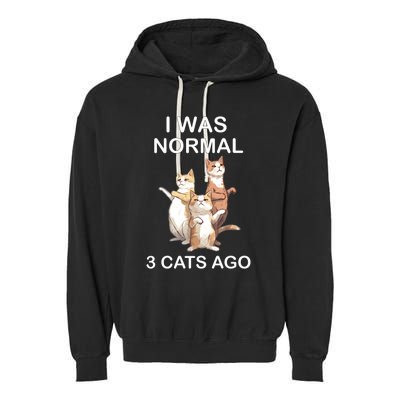 I Was Normal 3 Cats Ago Funny Cagift For Cat Dad/mom Cute Gift Garment-Dyed Fleece Hoodie