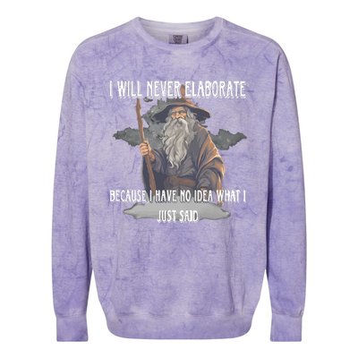 I Will Never Elaborate Because I Have No Idea What I Just Said Colorblast Crewneck Sweatshirt