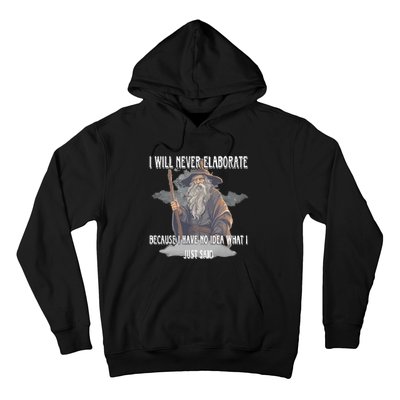 I Will Never Elaborate Because I Have No Idea What I Just Said Hoodie