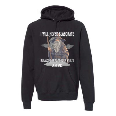 I Will Never Elaborate Because I Have No Idea What I Just Said Premium Hoodie