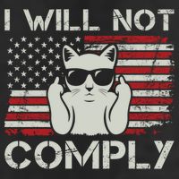 I Will Not Comply Gift Patriotic 4th Of July Funny Cat Usa Flag Gift 11oz C Handle Ceramic Mug