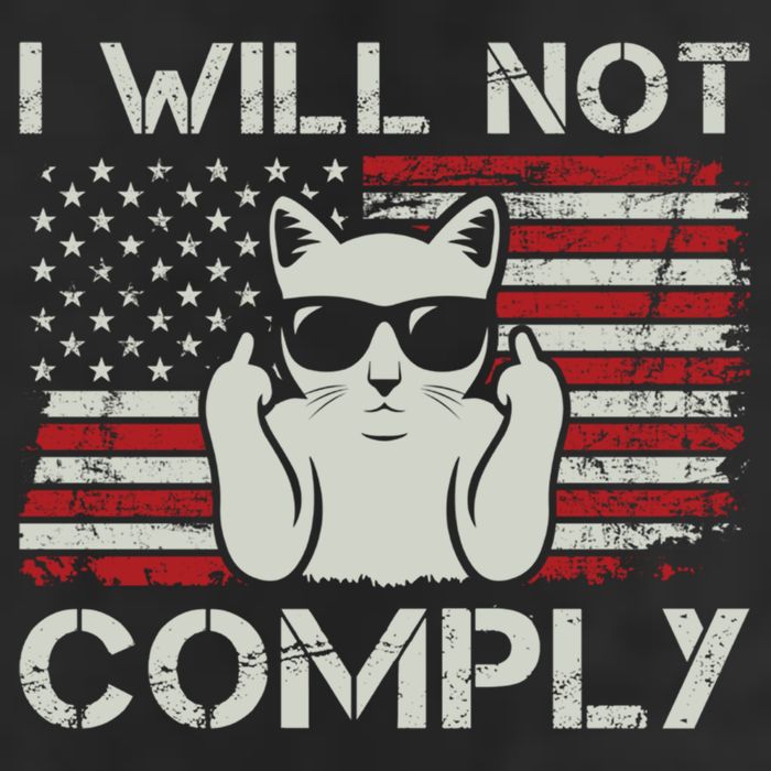 I Will Not Comply Gift Patriotic 4th Of July Funny Cat Usa Flag Gift 11oz C Handle Ceramic Mug