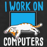 I Work On Computers Funny Cat Lover Kitten Kitty 7 Panel Mesh Trucker Snapback Hat