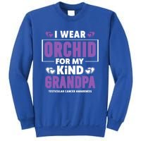 I Wear Orchid For My Grandpa Meaningful Gift Testicular Cancer Awareness Gift Sweatshirt