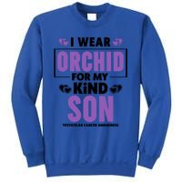 I Wear Orchid For My Son Gift Testicular Cancer Awareness Cool Gift Sweatshirt