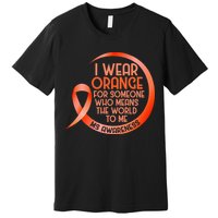 I Wear Orange For Someone Ms Multiple Sclerosis Awareness Premium T-Shirt