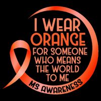 I Wear Orange For Someone Ms Multiple Sclerosis Awareness Premium T-Shirt