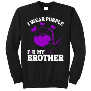 I Wear Purple For My Brother Epilepsy Awareness Sweatshirt