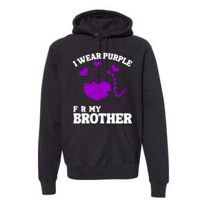 I Wear Purple For My Brother Epilepsy Awareness Premium Hoodie