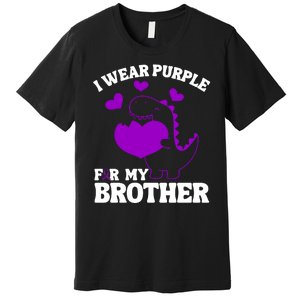 I Wear Purple For My Brother Epilepsy Awareness Premium T-Shirt