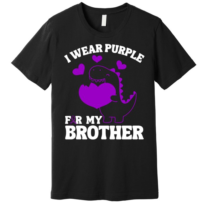 I Wear Purple For My Brother Epilepsy Awareness Premium T-Shirt