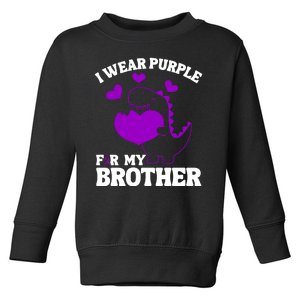 I Wear Purple For My Brother Epilepsy Awareness Toddler Sweatshirt