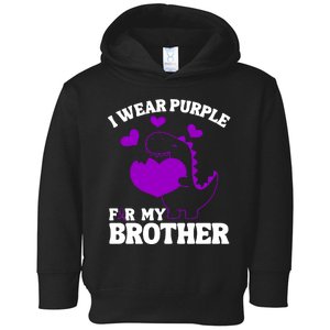 I Wear Purple For My Brother Epilepsy Awareness Toddler Hoodie