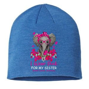 I Wear Pink For My Sister Elephant Breast Cancer Awareness Cute Gift Sustainable Beanie