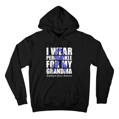 I Wear Periwinkle For My Grandma Esophageal Cancer Awareness Hoodie