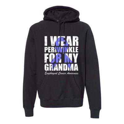 I Wear Periwinkle For My Grandma Esophageal Cancer Awareness Premium Hoodie