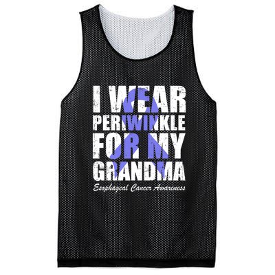 I Wear Periwinkle For My Grandma Esophageal Cancer Awareness Mesh Reversible Basketball Jersey Tank