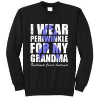 I Wear Periwinkle For My Grandma Esophageal Cancer Awareness Tall Sweatshirt