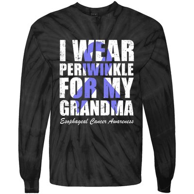 I Wear Periwinkle For My Grandma Esophageal Cancer Awareness Tie-Dye Long Sleeve Shirt