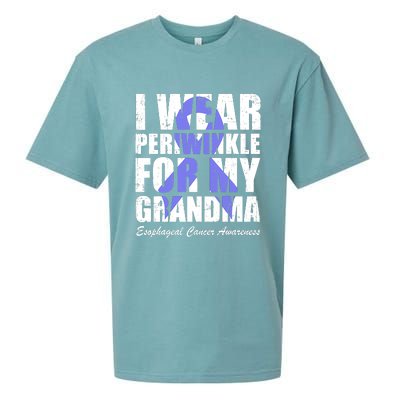 I Wear Periwinkle For My Grandma Esophageal Cancer Awareness Sueded Cloud Jersey T-Shirt