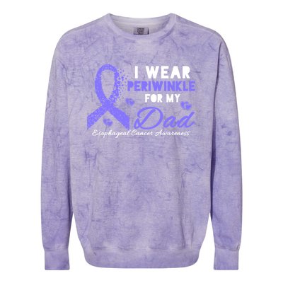 I Wear Periwinkle For My Dad Cute Gift Esophageal Cancer Awareness Meaningful Gi Colorblast Crewneck Sweatshirt